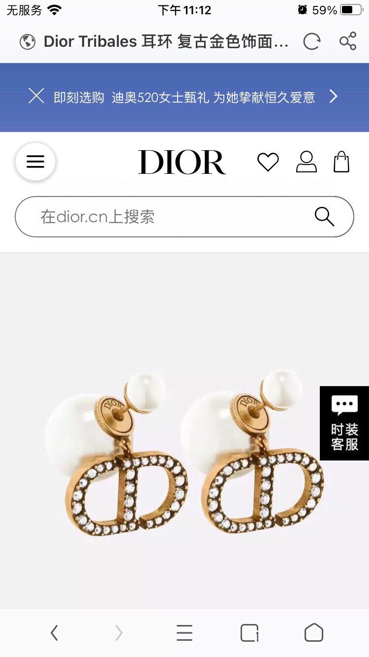chr1st1an D10r earrings